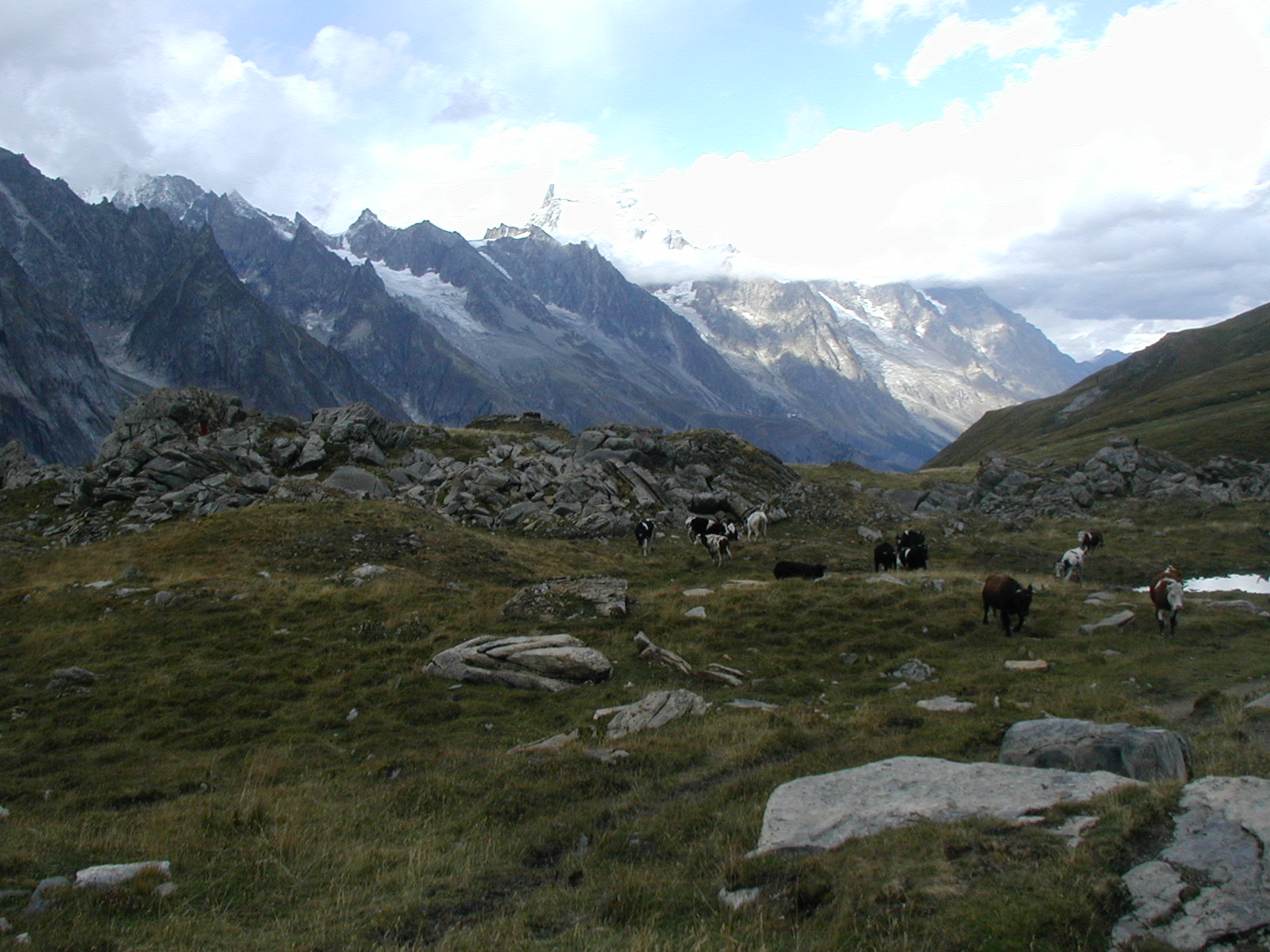 Sous le refuge Elisabetha